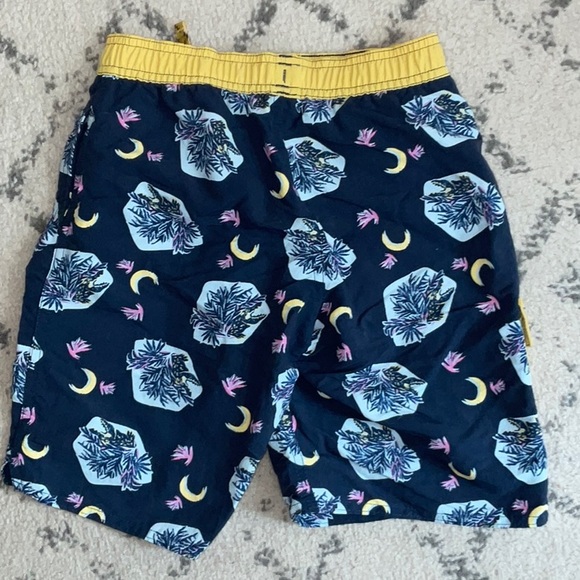 Boys Patagonia Baggies Board Swim Shorts. Barely Worn! Small - Picture 2 of 3